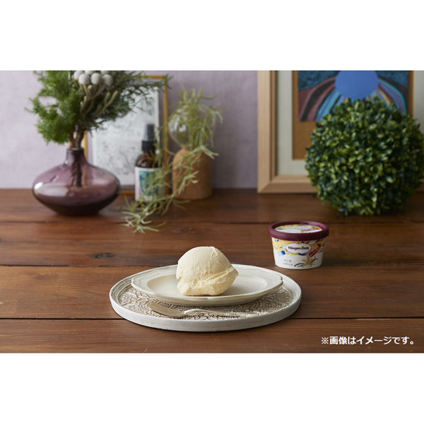 ハーゲンダッツ ギフト券2枚セット